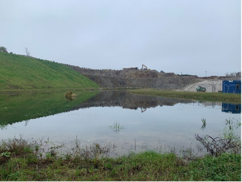 Wetland on completion of construction starting to re-vegetate (November 2024)