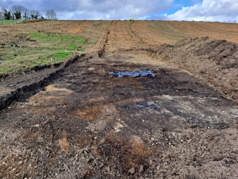 Burnt mound of heat-shattered stone exposed at Shannonpark (Cork County Council)